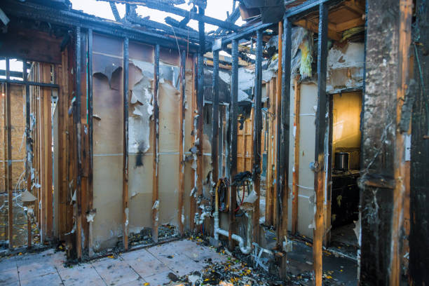 Professional Emergency Fire Cleanup technician working in Odessa, FL